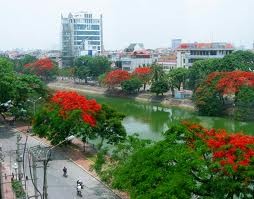 Hai Phong au service des touristes - ảnh 1